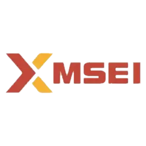 MSEI Unlisted Shares